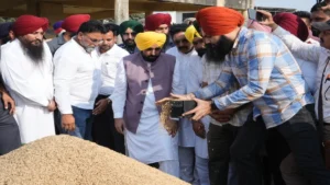 Chief Minister Bhagwant Mann बोले – अब तक 61.01 lakh metric tonnes paddy खरीदा गया, किसानों को ₹13,073 crore का भुगतान