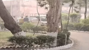 Punjab Police ने Newspaper की सप्लाई रोकी: Drugs और Weapons की Smuggling के शक में गाड़ियों की Checking, कई जगह देर से पहुंचे Newspaper