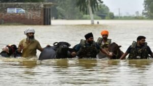 बाढ़ के बाद Dairy Farmers को बड़ा Relief: Punjab Government देगी 59 Lakh रुपये की मदद; Hoshiarpur और Taragarh के किसानों को बड़ा फायदा, Verka Brand का भी विस्तार