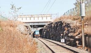 रातापानी में बनेंगे चार एनीमल ओवरपास, 10 साल में मिडघाट में 10 तेंदुए और 9 बाघ हुए मृत