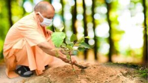 योगी सरकार-2026 में पूरे प्रदेश में लगाएगी 35 करोड़ पौधे