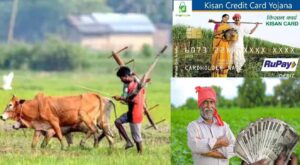 अब ‘फार्मर रजिस्ट्री’ से PM-Kisan और KCC लोन मिलना होगा आसान, बिचौलियों से मिलेगी मुक्ति