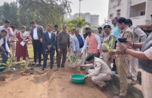 हाइड्रोपोनिक्स से टेरेस गार्डन को मिल रही नई दिशा