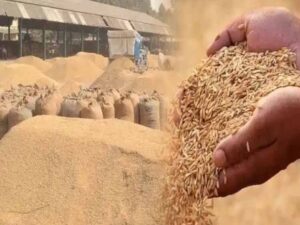 550 किसानों को फिर मिला धान बेचने का मौका, धान खरीदी तिथि दो दिन और बढ़ाई
