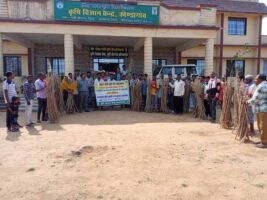 कोंडागांव जिले में कसावा की खेती: कृषि विज्ञान केंद्र का नवाचार