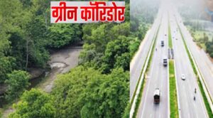 फतेहाबाद में 15 हजार पौधों से 4 डिग्री गिरा तापमान, अब पूरे हरियाणा में बनेंगे ग्रीन कॉरिडोर