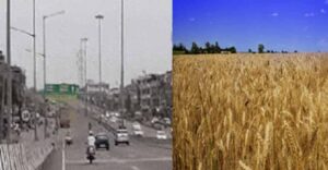 फरवरी में मार्च-अप्रैल जैसी गर्मी का एहसास, पश्चिमी विक्षोभ से बारिश की उम्मीद