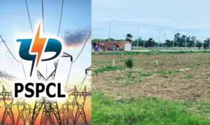 पावरकॉम का नया फरमान,  PUDA को 50 एकड़ जमीन बेचने की दी मंजूरी