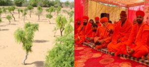 संतों का अनशन खत्म करवाने पहुंचे मंत्री केके बिश्नोई, बीकानेर में साधु संत कर रहे खेजड़ी बचाओ आंदोलन