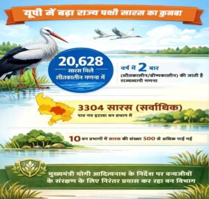 इटावा वन प्रभाग में पाए गए सर्वाधिक 3304 सारस, 10 वन प्रभागों में यह संख्या 500 से अधिक पाई गई