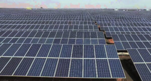 हरियाणा के सरकारी भवनों पर सौर ऊर्जा प्लांट, दलहन किसानों के लिए नई नीति का ऐलान: CM सैनी