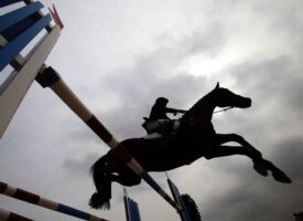 भारतीय घुड़सवारी महासंघ को आयकर विभाग का झटका, 4.62 करोड़ रुपये का नोटिस जारी