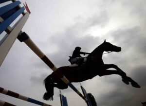 भारतीय घुड़सवारी महासंघ को आयकर विभाग का झटका, 4.62 करोड़ रुपये का नोटिस जारी