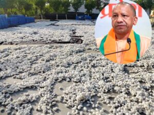 योगी सरकार की दूरदर्शी पहल से रेशम उद्योग को नई उड़ान, ‘सेन्टर ऑफ एक्सीलेन्स’ का हुआ शुभारंभ